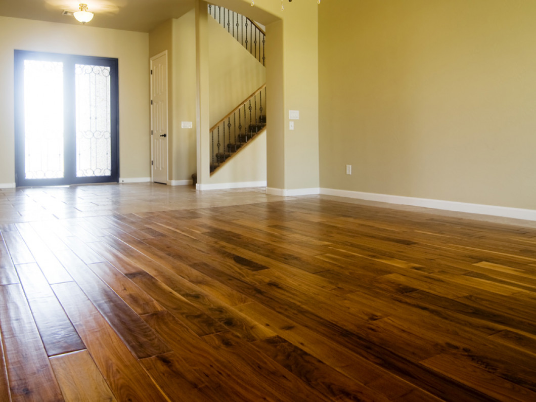 Termite Infrared Mold Inspection Winter Haven Lakeland Fl
